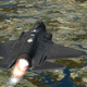 Illustration for article titled A Hardcore Military Flight Sim Thatll Run On A Laptop
